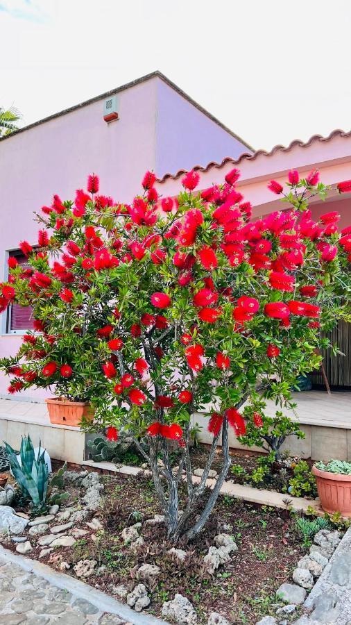 Apartmán I Giardini Dell'Agave Torre Santa Sabina Exteriér fotografie