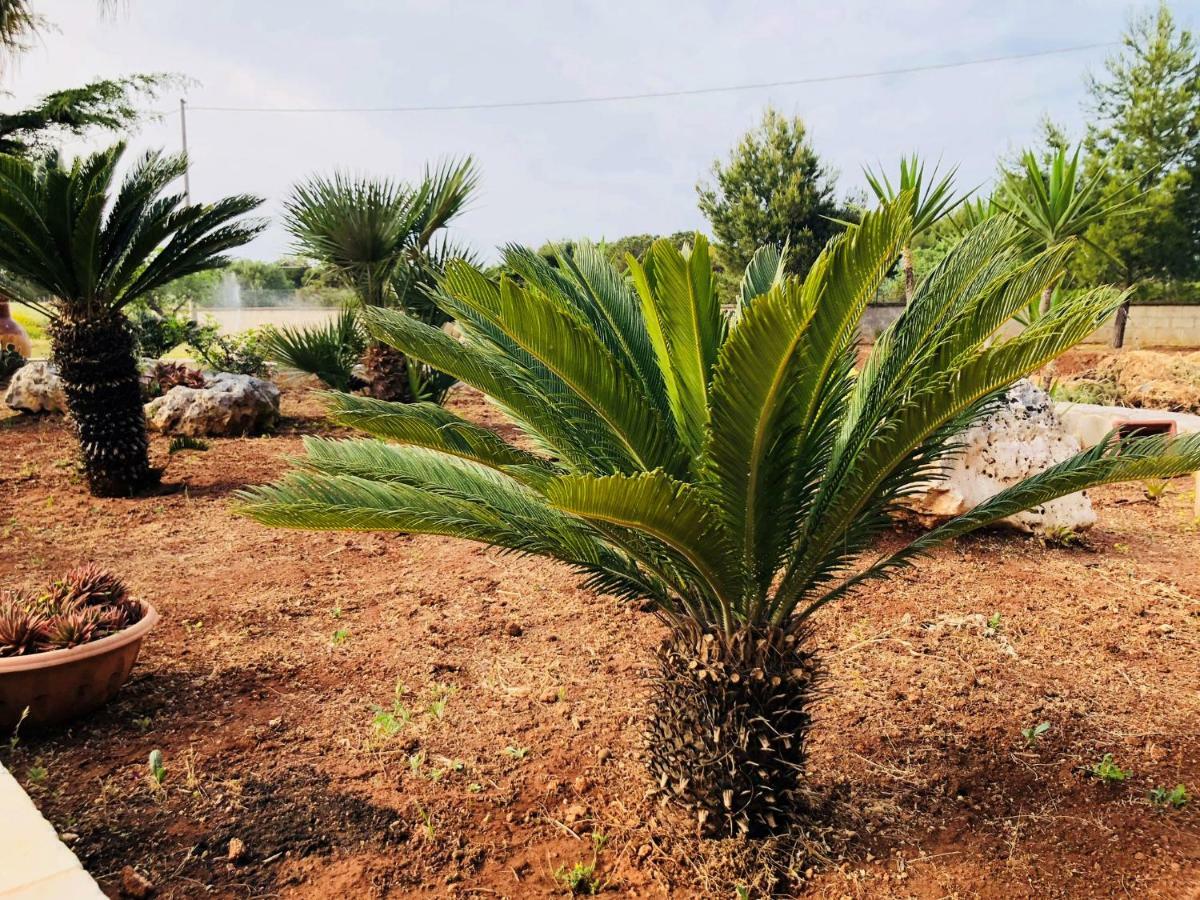 Apartmán I Giardini Dell'Agave Torre Santa Sabina Exteriér fotografie